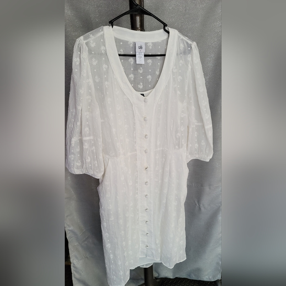 CAbi Dress Set 8